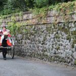 Rickshaw Experience in Yufuin - An hour for temples, the lake and Yunotsubo Street