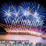 Romantic Hakone Atami Full-Day Fireworks Tour - The driver can make the day feel easier