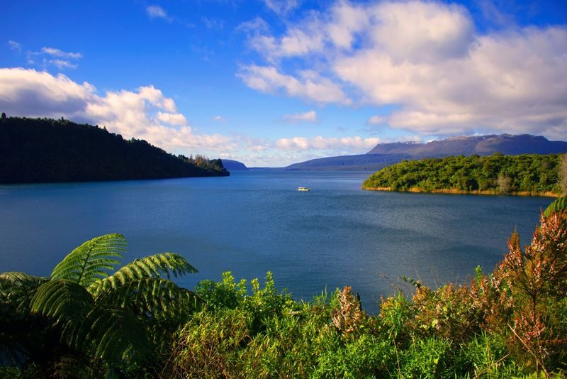 Rotorua Duck City and Lakes Tour - Starting in central Rotorua