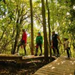Rotorua Zipline Experience over Okere Falls - Starting at Rotorua Ziplines in Okere Falls