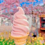 Sakura Season Small Group Tour of 9: Izu Cherry Blossom Viewing and Seaside Day Trip | Kawazu Cherry Blossom Festival & Izu Seaside Train & Jogasaki Coast | Chinese Service | Round-trip from Tokyo with Optional Hotel Transfer - The coastal train between Kawazu and Izu-Kogen