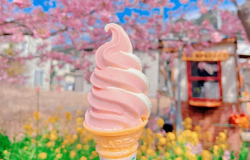 Sakura Season Small Group Tour of 9: Izu Cherry Blossom Viewing and Seaside Day Trip | Kawazu Cherry Blossom Festival & Izu Seaside Train & Jogasaki Coast | Chinese Service | Round-trip from Tokyo with Optional Hotel Transfer - The coastal train between Kawazu and Izu-Kogen
