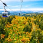 Sapporo Asahidake National Park & Zoo Day Trip - Asahidake National Park: time to walk, with a ropeway option