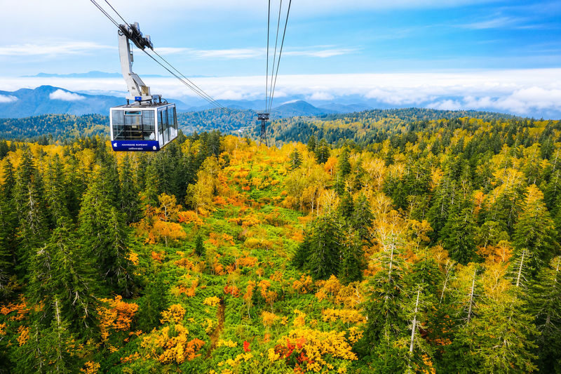 Sapporo Asahidake National Park & Zoo Day Trip - Asahidake National Park: time to walk, with a ropeway option