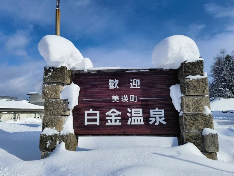 Sapporo Asahiyama Zoo & Farm Tomita Full-Day Tour with Blue Pond - Farm Tomita and the limits of the schedule