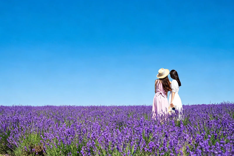 Sapporo Biei & Furano Private Full-Day Tour - Biei and Furano: what the combined route means