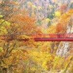 Sapporo Departure: Day Trip to Big Buddha, Jozankei, Lake Toya & Noboribetsu: Volcano/Lake View/Winter Snowmobiling - The winter route: Nakayama Pass and snow country