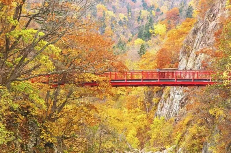 Sapporo Departure: Day Trip to Big Buddha, Jozankei, Lake Toya & Noboribetsu: Volcano/Lake View/Winter Snowmobiling - The winter route: Nakayama Pass and snow country