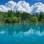 Sapporo Full-Day Furano & Biei Lavender Experience - Furano’s flower fields reward a slow look