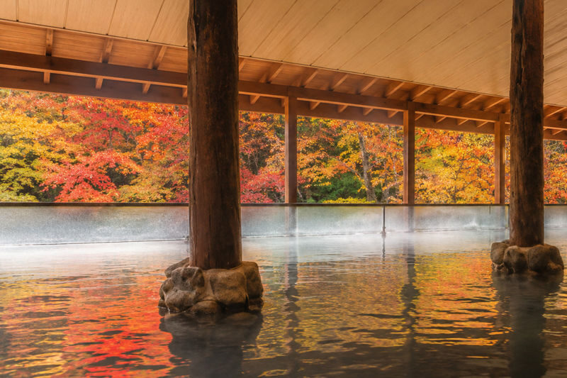 Sapporo Jozankei & Head Buddha One-Day Tour with Cultural Immersion - Hokkaido Jingu and Maruyama Park set a calm opening