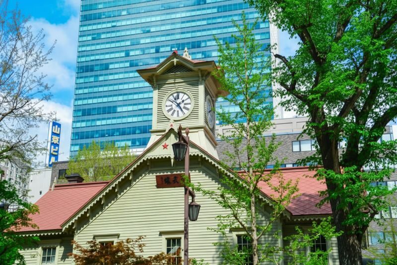 Sapporo: Private Custom Tour with Local Guide - Odori Park and the City Center