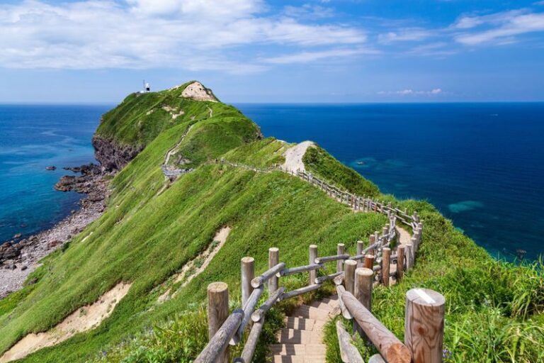 Sapporo Shakotan & Otaru Full-Day Tour with Scenic Views - Cape Kamui: the walk that makes the trip