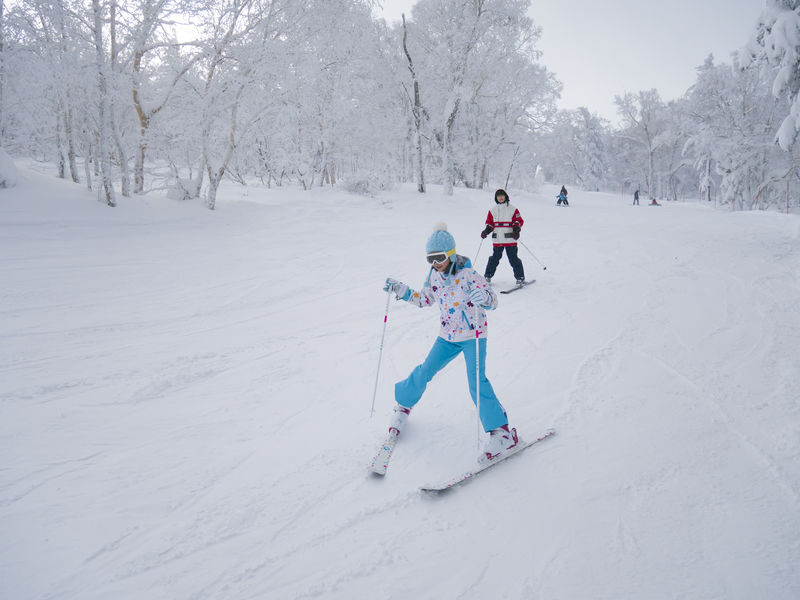 Sapporo Teine/Mount Moiwa/Bankei Ski Lesson - What your instructor can help you learn