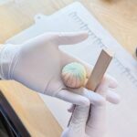 Sapporo Wagashi Sweets Making - What making nerikiri feels like