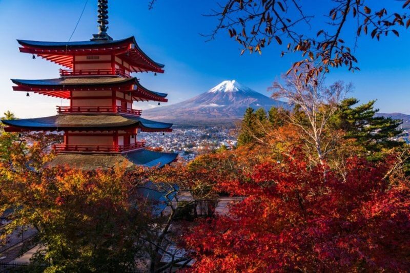 Scenic Mt. Fuji Day Tour from Tokyo: 5th Station, Matcha Experience - A short matcha lesson near Lake Kawaguchiko