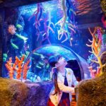 SEA LIFE Nagoya Aquarium Ticket - Rockpools made for curious hands