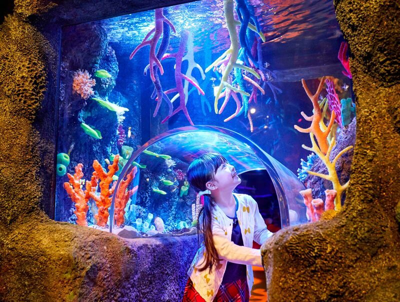 SEA LIFE Nagoya Aquarium Ticket - Rockpools made for curious hands