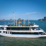 Sea Lion Day Cruise: Ha Long Bay, Sung Sot, Ti Top - Lunch on board, with the bay all around