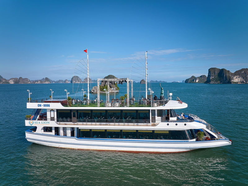 Sea Lion Day Cruise: Ha Long Bay, Sung Sot, Ti Top - Lunch on board, with the bay all around
