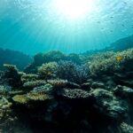 Sea Turtle Snorkel & Blue Cave Exploration 3-Hour Tour! 《Free Pick-up! Free GoPro Photo Data》 - The Blue Cave, if conditions cooperate