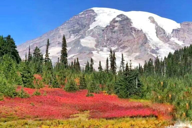 Seattle Mount Rainier National Park Full-Day Tour - Paradise gives you your main stretch of trail time