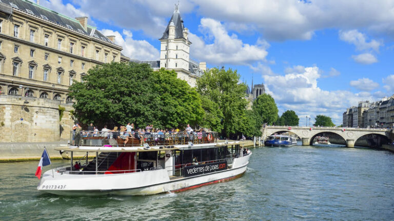 Seine River Guided Cruise Tour - One hour, several big Paris sights