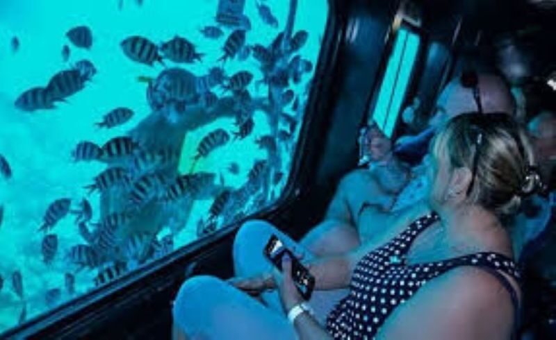 Semi-Submarine Snorkeling Sea Trip With Transfer - Hurghada - Why the semi-submarine works for families