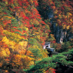 Sendai Naruko Onsen & Gorge Full-Day Small Group Sightseeing Tour - Naruko Gorge is the day’s big view