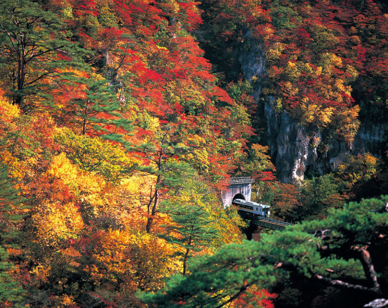Sendai Naruko Onsen & Gorge Full-Day Small Group Sightseeing Tour - Naruko Gorge is the day’s big view