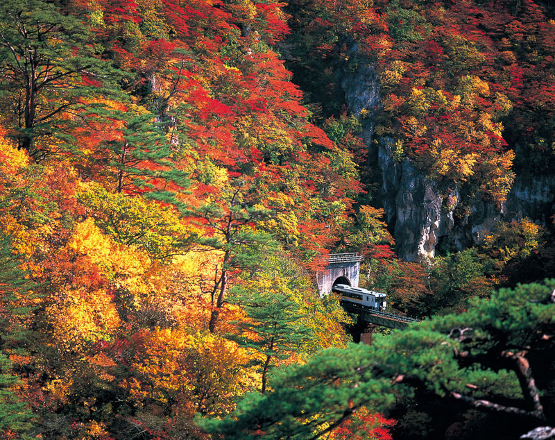 Sendai Naruko Onsen & Gorge Full-Day Small Group Sightseeing Tour - Naruko Gorge is the day’s big view