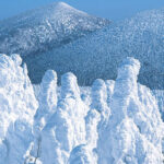 Sendai Zao Fox Village & Snow Monsters Full-Day Guided Tour - The Sendai Station start and the road to Zao