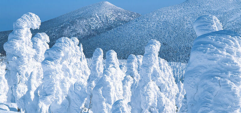 Sendai Zao Fox Village & Snow Monsters Full-Day Guided Tour - The Sendai Station start and the road to Zao