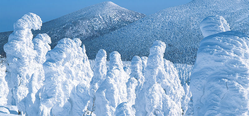 Sendai Zao Fox Village & Snow Monsters Full-Day Guided Tour - The Sendai Station start and the road to Zao