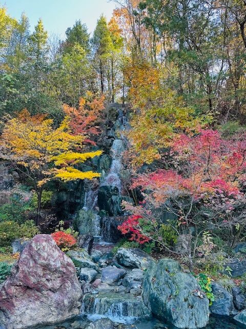Sengoku-teien Japanese Garden in Hiroshima - What the 1-to-2-hour visit feels like