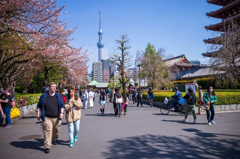 Sensoji Temple & Nakamise Shopping Street Half-day Walking & Street Food Tour - At Sensoji, look beyond the main photo