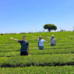 Seogwipo & Jungmun Pick-up: Jeju East UNESCO Full Day Tour - What the UNESCO focus tells you, and what it does not
