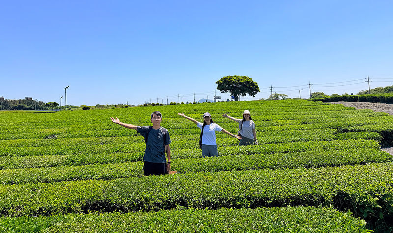 Seogwipo & Jungmun Pick-up: Jeju East UNESCO Full Day Tour - What the UNESCO focus tells you, and what it does not