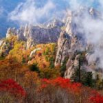 Seoraksan National Park & Naksansa Temple Sightseeing Tour - Seoraksan: trails, peaks and a cable car that may not run