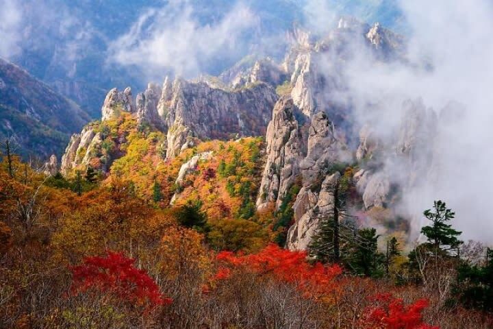 Seoraksan National Park & Naksansa Temple Sightseeing Tour - Seoraksan: trails, peaks and a cable car that may not run
