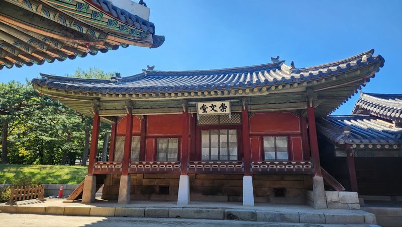 Seoul Changgyeonggung Palace Half-Day Historical Tour - From Honghwamun Gate into the royal grounds