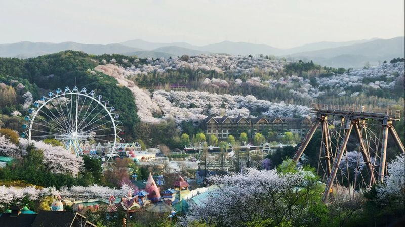 Seoul Everland Moonlight Parade Day Tour with Transfers - The Moonlight Parade needs a date check