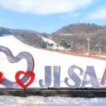 Seoul Jisan Forest Ski Resort Full-Day Ski Tour with Transfers - Choose the package that fits your snow day