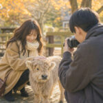 Seoul Nami Island, Garden & Rail Bike Day Tour - Choose an add-on that suits your kind of day