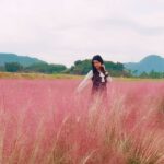 Seoul Tour | Autumn Flowers One Day Tour in Gyeonggi-do / Incheon - Gimbap, seaweed, Hanbok, and a Hanok