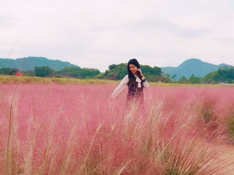 Seoul Tour | Autumn Flowers One Day Tour in Gyeonggi-do / Incheon - Gimbap, seaweed, Hanbok, and a Hanok