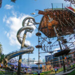 Shanghai Magic Jungle Ticket - Magic Jungle at a glance