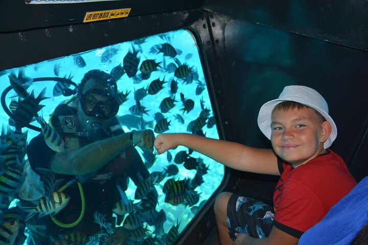 Sharm El Sheikh Half-Day Semi-Submarine Tour with Transfers - What the semi-submarine format gives you