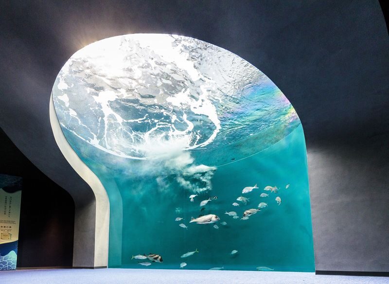 Shikoku Aquarium Ticket - From Utazu Station to the entrance