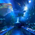 Shinagawa Aquarium Admission Ticket in Tokyo - Seals, dolphins, and sea lions bring the visit to life