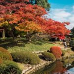 Shinjuku Gyoen National Garden - 2 Hours Walking Tour - From Shinjuku Gyoen-mae to the garden gates
